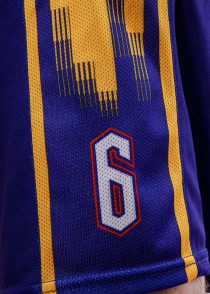 Волейбольные шорты мужские VOL-AMS-01-SUBL