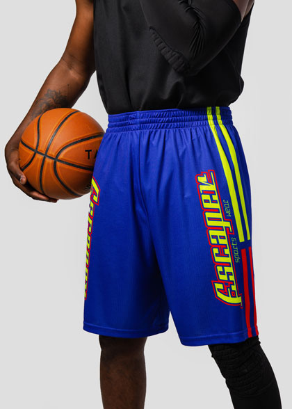 Баскетбольные шорты мужские BSK-AS02-SUBL